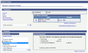 Screenshot #1 for payment plan